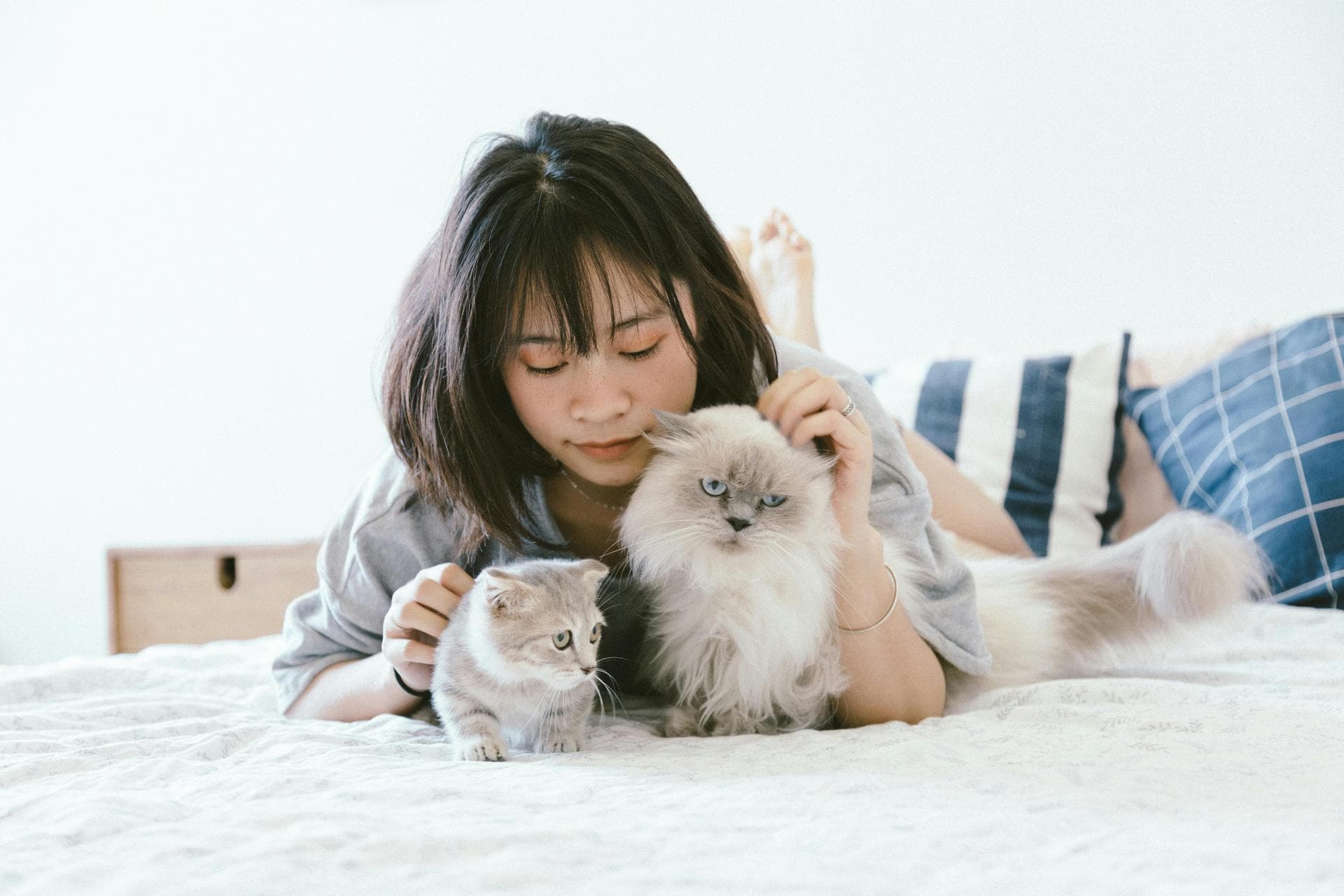 Dog Cremation Prices in Shrewsbury
